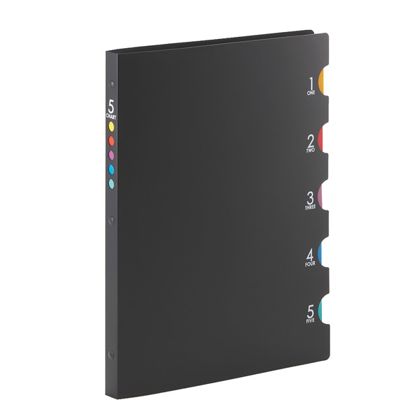 ファイブチャート『プラスチックバインダー』A4サイズ30穴　背幅：18mm　F483